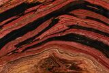 Free-Standing Polished Tiger Iron Stromatolite - Ga #221781-1